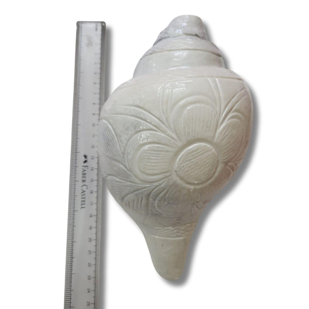 Jaisakshi Original Loud Blowing Shankh Conch for Pooja - 4 to 5 Inch White Brass and Woodwind Instrument (Size Guarantee - Quality Matters)