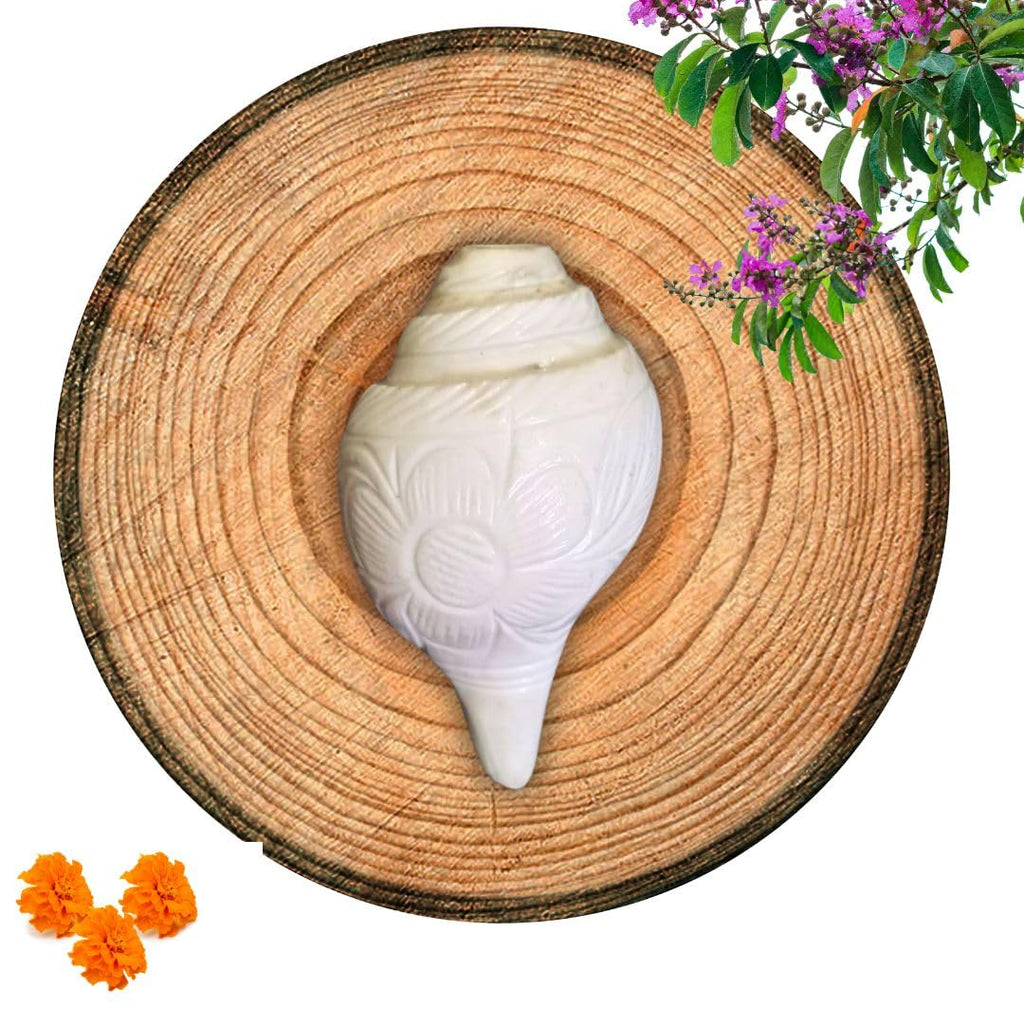 Jaisakshi Original Loud Blowing Shankh Conch for Pooja - 4 to 5 Inch White Brass and Woodwind Instrument (Size Guarantee - Quality Matters)