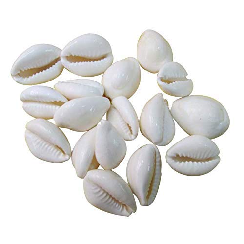 Jaisakshi Combo of Red Gunja/Chirmi Beads, Kamal Gatte & White Kauri/Kaudi & Gomati Chakra (11 pcs Each) for Puja, Worship, Protection for Laxmi Pooja & Diwali