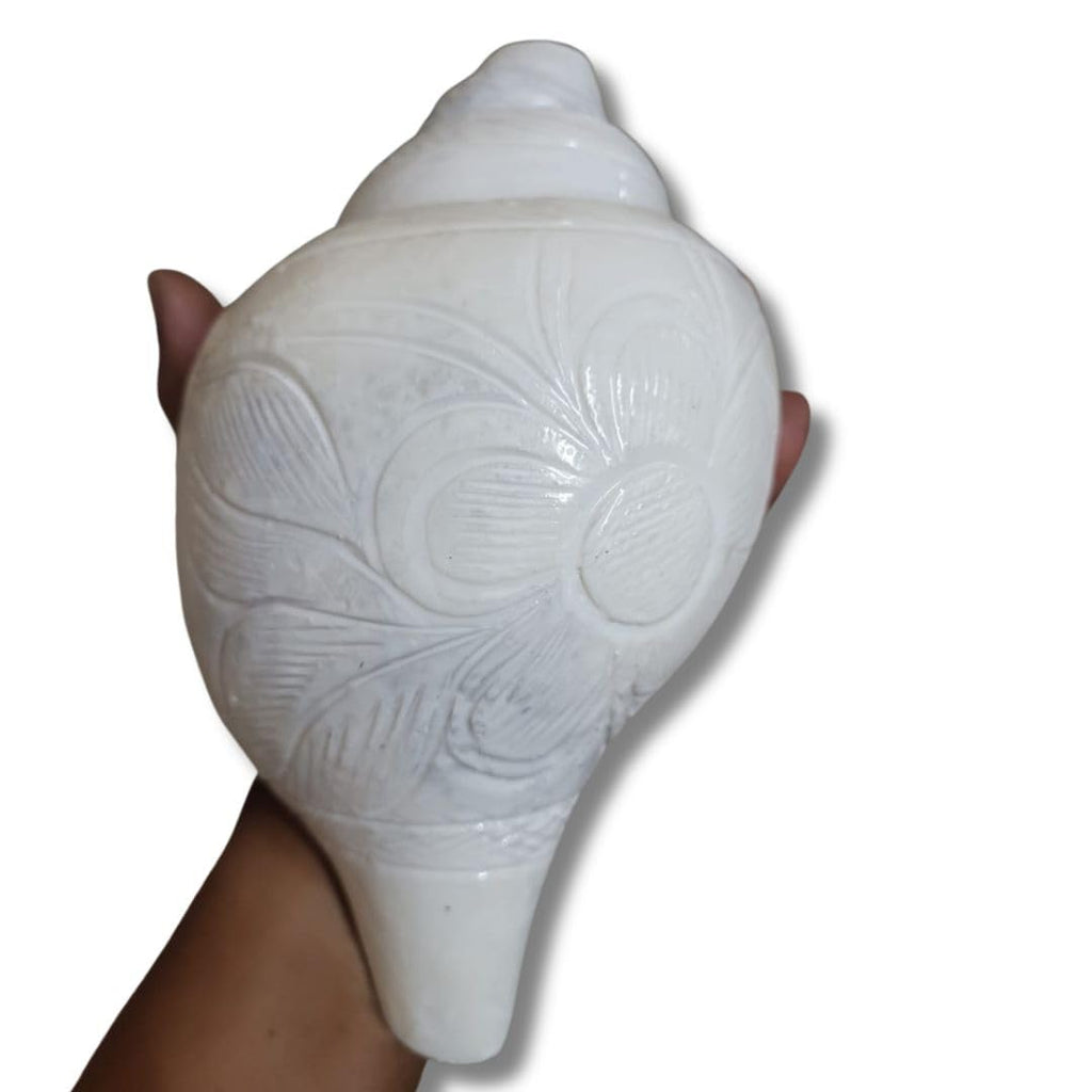 Jaisakshi Original Loud Blowing Shankh Conch for Pooja - 4 to 5 Inch White Brass and Woodwind Instrument (Size Guarantee - Quality Matters)