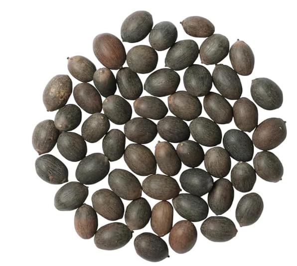 Jaisakshi Kamal Gatta Seeds for Puja (11 pcs) – Original Lotus Beej for Lakshmi Worship, Diwali, Sawan & Spiritual Rituals – Auspicious Pooja Samagri