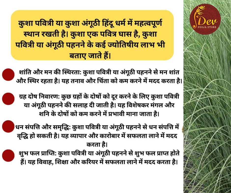 Jaisakshi Pavitri/Paiti (Made of Kusha Grass) / Darbha Grass/Pavitri Grass Ring/Darbha Grass Anguthi/Yogya Pavitri/Kusha Grass (Halfa Grass) Tharu ppai-Pul (Pack of 12)