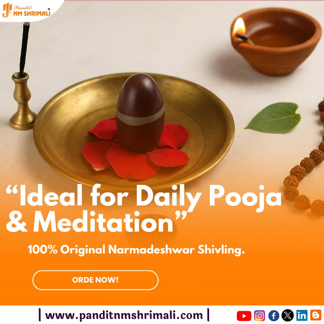 Jaisakshi Original Swayambhu Narmadeshwar Shivling, Natural Sacred Stone for Shiv Puja, Home Temple, Meditation, Spiritual Gift