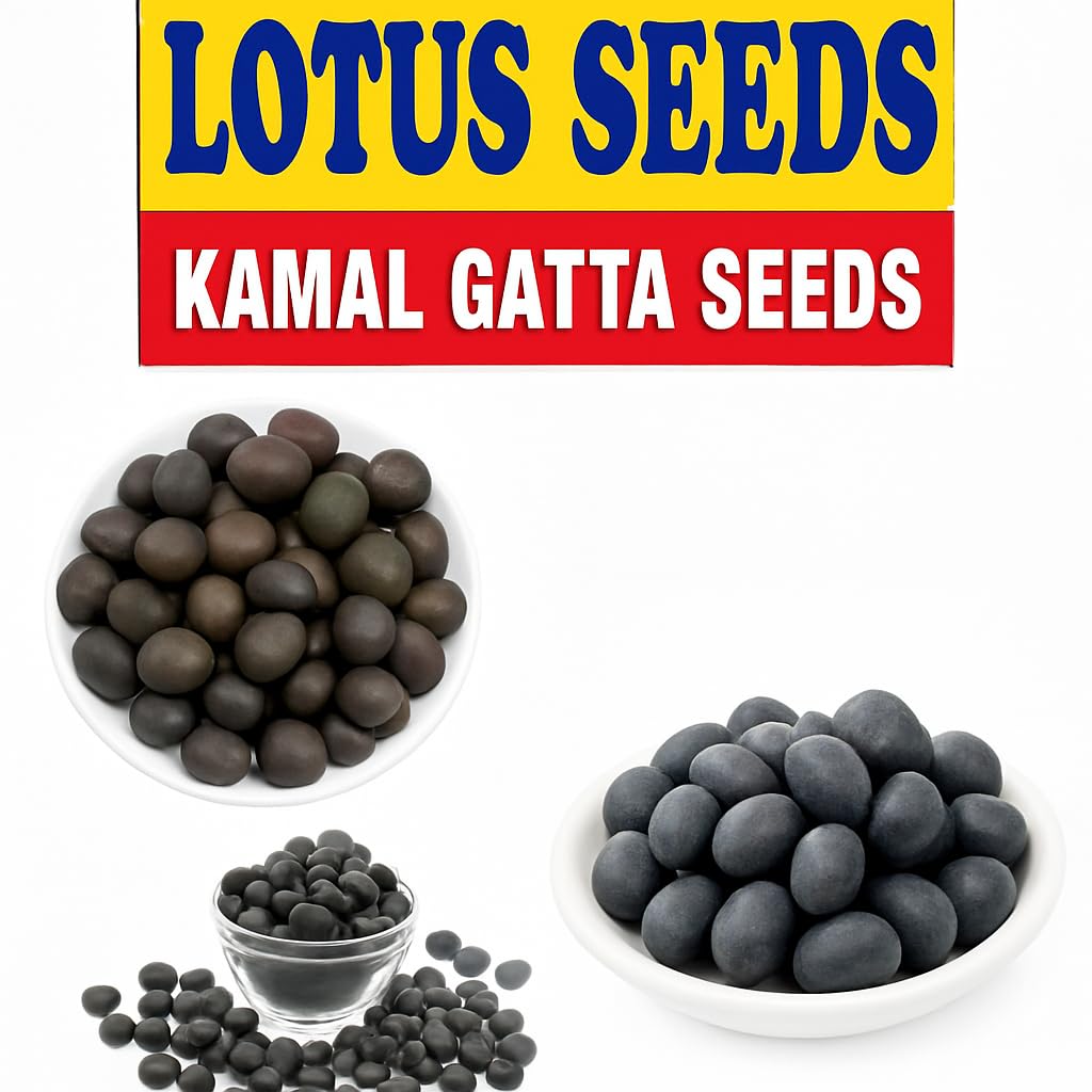 Jaisakshi Kamal Gatta Seeds for Puja (11 pcs) – Original Lotus Beej for Lakshmi Worship, Diwali, Sawan & Spiritual Rituals – Auspicious Pooja Samagri