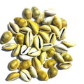 Jaisakshi pili Kodi Shell Pack Of 11 Cowrie Shells - Pili Kodi Original For Diwali Pooja Decoration - Kaudi Shells For Craft (11 Piece)