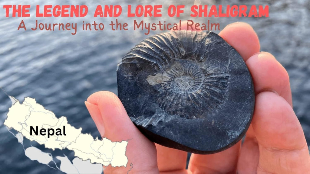 Jaisakshi Shaligram from Nepal Kaali Gandaki | Sudarshan Chakra Saligram (3 Inch, Black) - 1 Pieces 3 inch