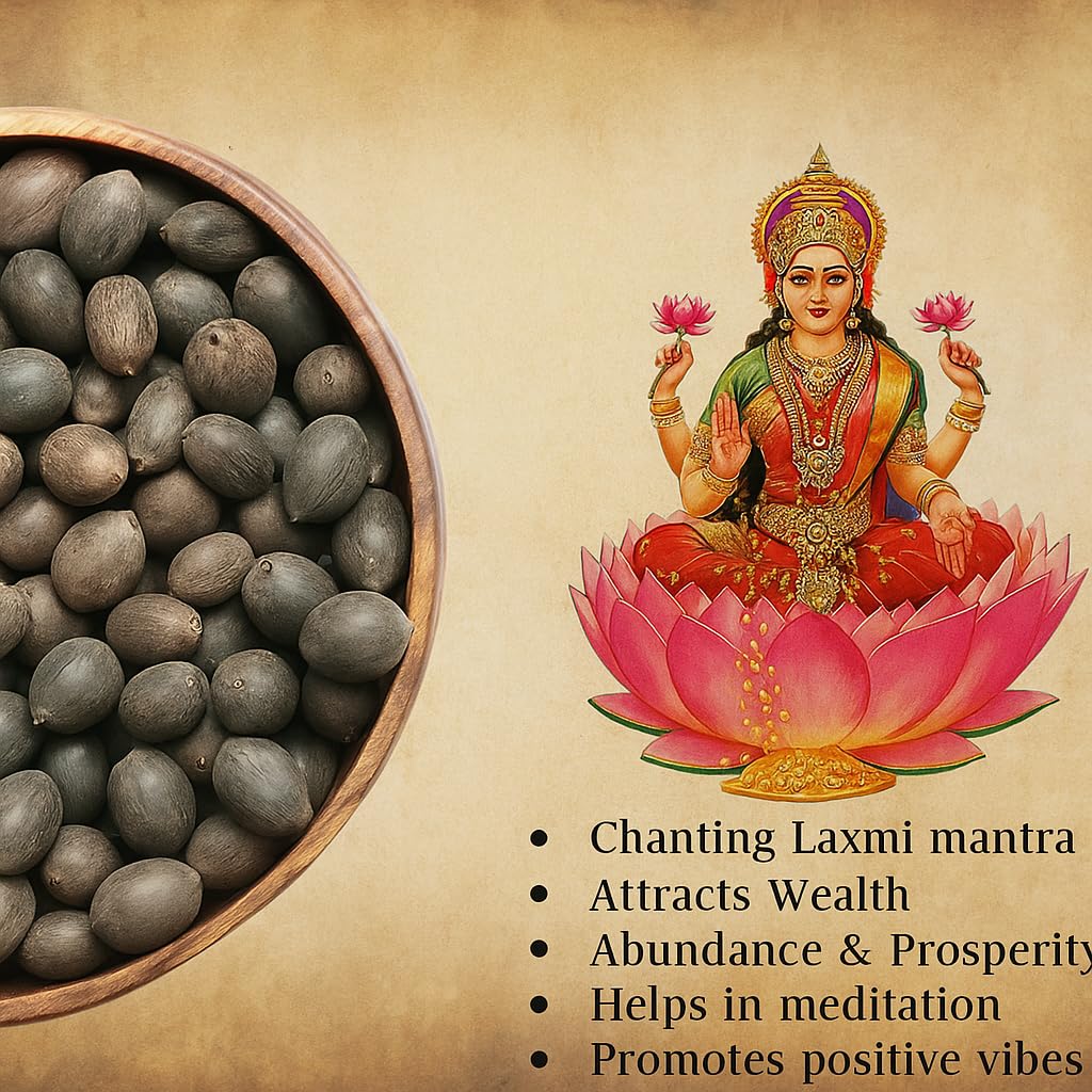 Jaisakshi Kamal Gatta Seeds for Puja (11 pcs) – Original Lotus Beej for Lakshmi Worship, Diwali, Sawan & Spiritual Rituals – Auspicious Pooja Samagri