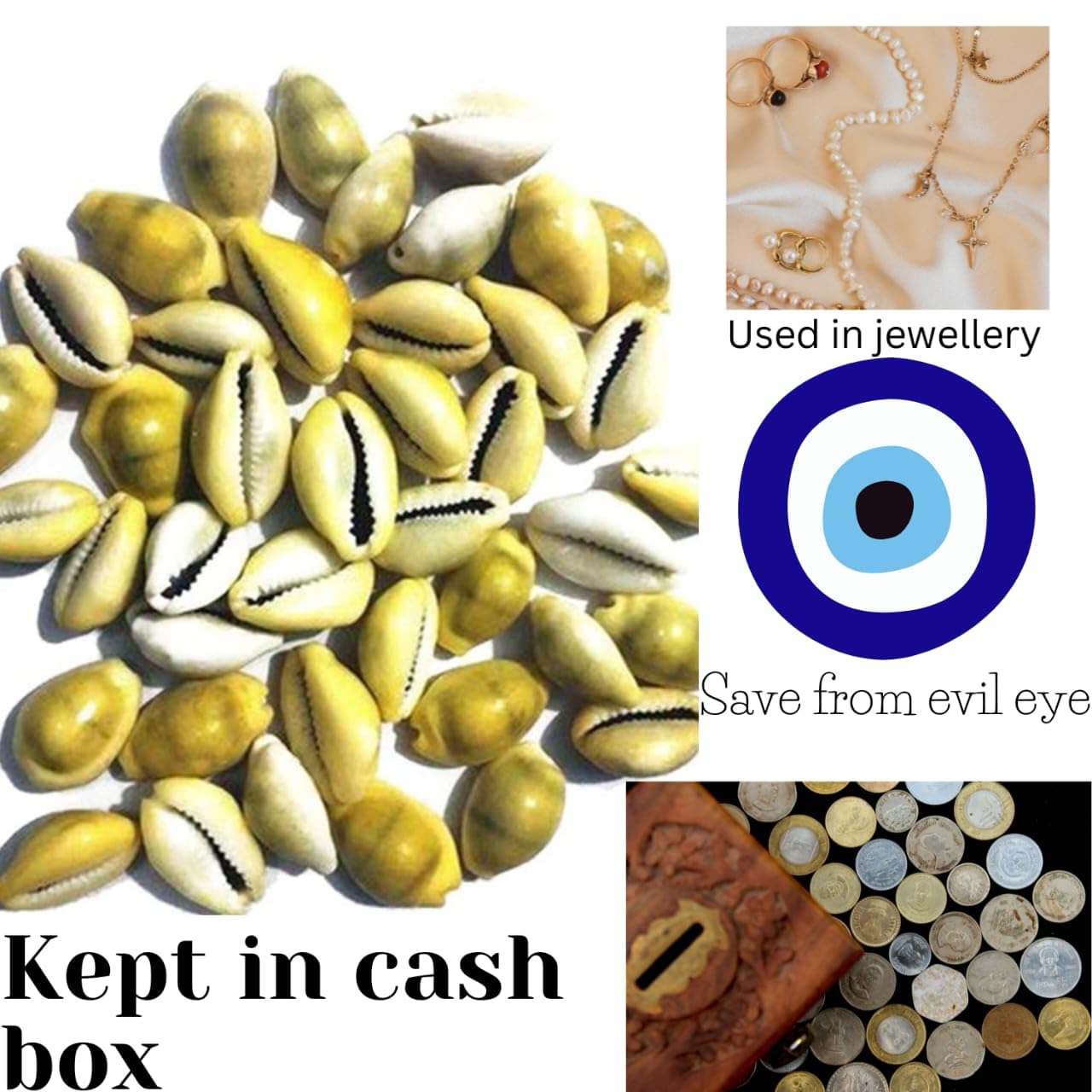 Jaisakshi pili Kodi Shell Pack Of 11 Cowrie Shells - Pili Kodi Original For Diwali Pooja Decoration - Kaudi Shells For Craft (11 Piece)