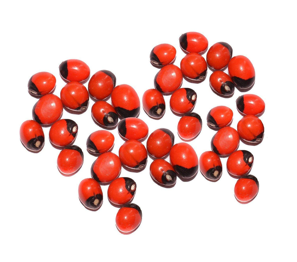 Jaisakshi Combo of Red Gunja/Chirmi Beads, Kamal Gatte & White Kauri/Kaudi & Gomati Chakra (11 pcs Each) for Puja, Worship, Protection for Laxmi Pooja & Diwali