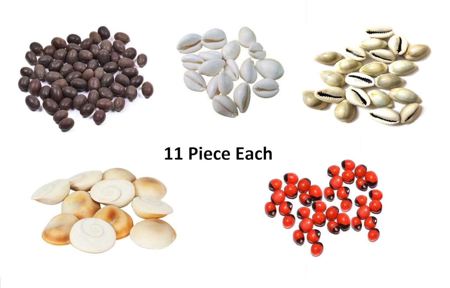 Jaisakshi Combo of Red Gunja/Chirmi Beads, Kamal Gatte & White Kauri/Kaudi & Gomati Chakra (11 pcs Each) for Puja, Worship, Protection for Laxmi Pooja & Diwali