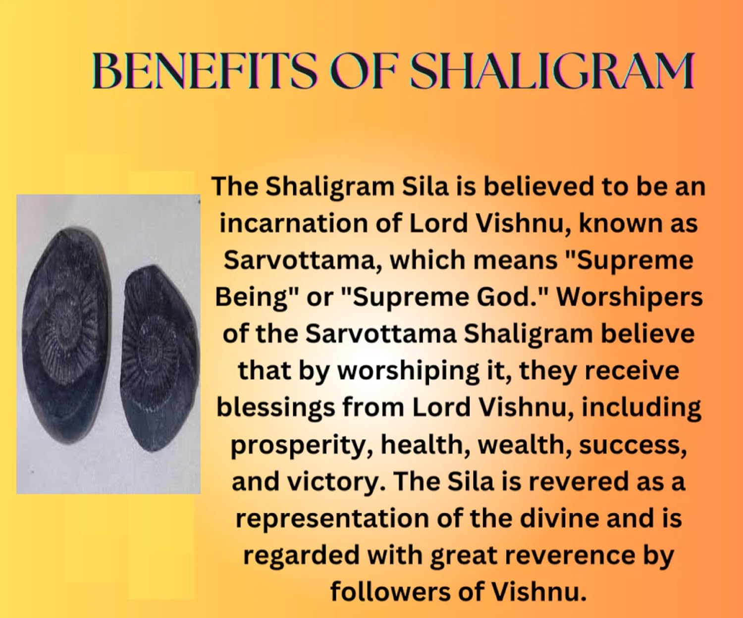 Jaisakshi Shaligram from Nepal Kaali Gandaki | Sudarshan Chakra Saligram (3 Inch, Black) - 1 Pieces 3 inch
